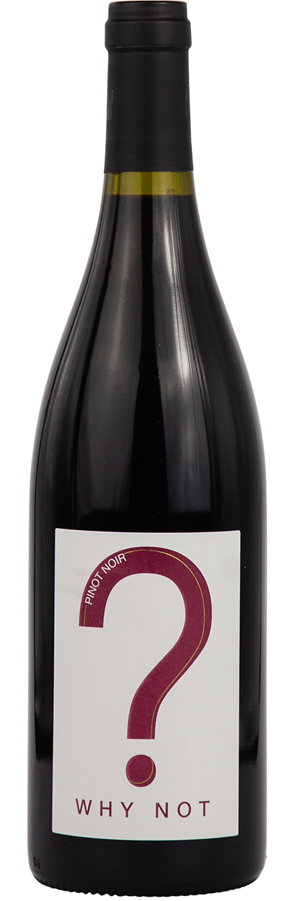 2480_Domaine Combe Blanche Why Not BIO 0,75 2020